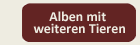 button_klein_alben_weitere_tiere_aktiv